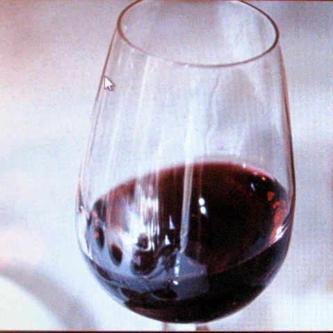 nino negri winery pix 002