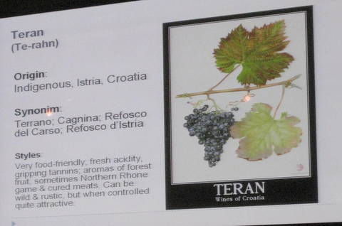 vina croatia 104