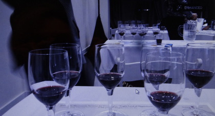 Master Class on Puglian wines: Consorzio Movimento Turismo del Vino Puglia