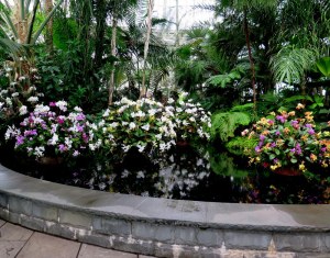 The entrance displays at the NYBG Orchid Show: Chandeliers.