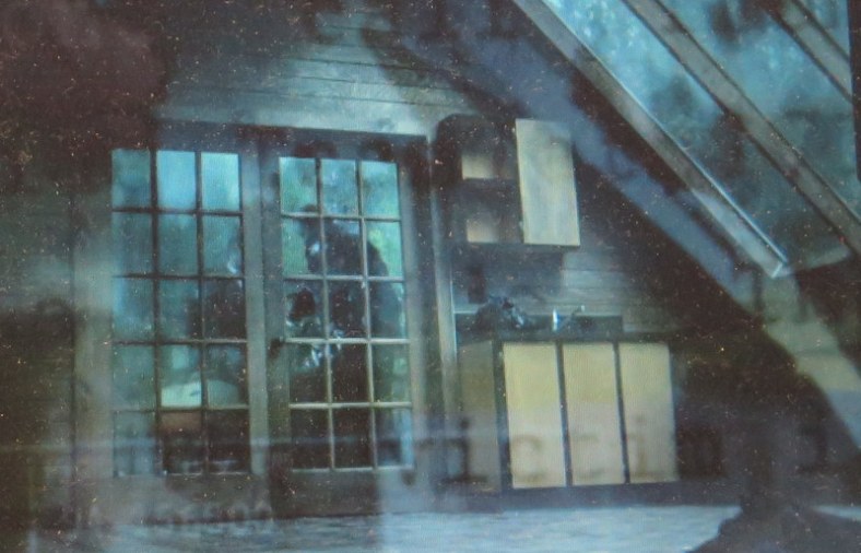 Kurt Cobain, 'Soaked in Bleach,' Nirvana, greenhouse