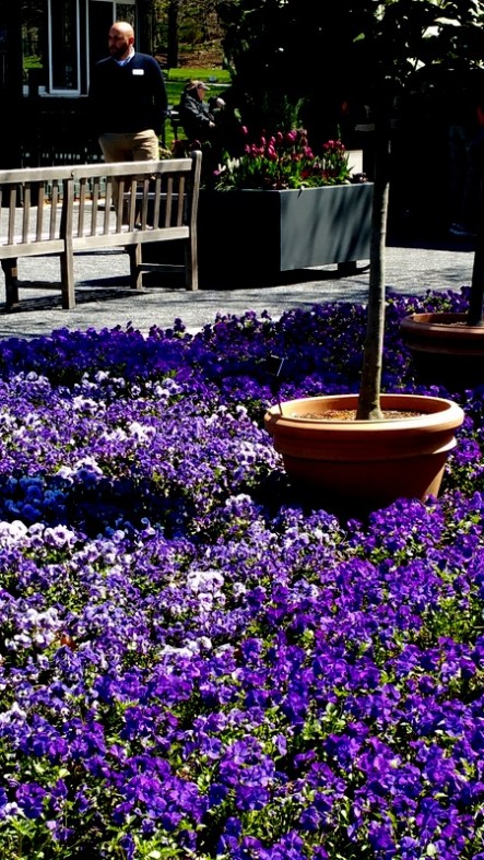 NYBG, Earth Day celebration April 22-24, 2016