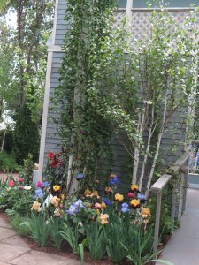 NYBG, Impressionism American Gardens on Canvas