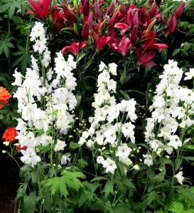 Enid A. Haupt Conservatory, NYBG, Impressionism American Gardens on Canvas