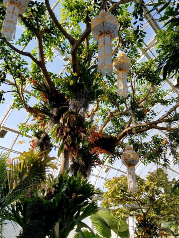 Sky Lanterns, khom loi, NYBG, Orchid Show: Thailand