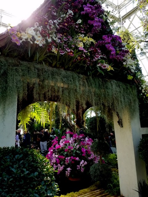 Thai sala, NYBG, Orchid Show: Thailand