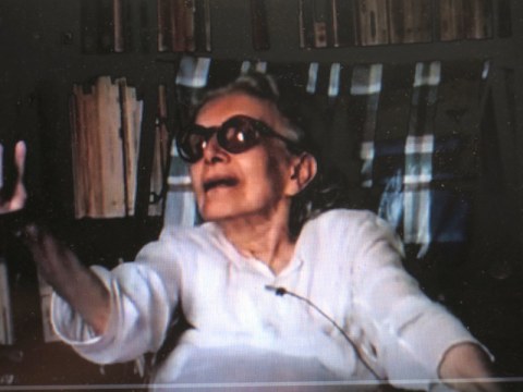 Nise da Silveira, Roberto Berliner, NISE: Heart of Madness, Brazil, schizophrenia, art therapy, animal therapy