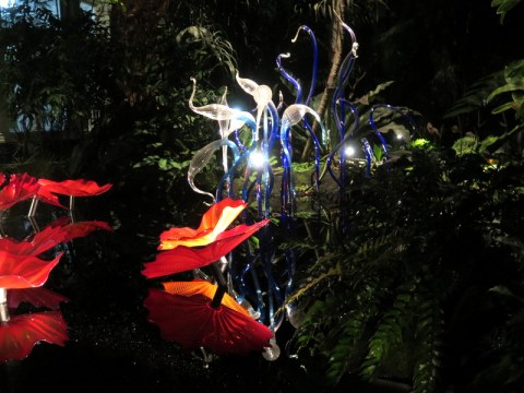 NYBG Palms of the World Gallery, Chihuly’s Persian Pond and Fiori (2017), Jazz & Chihuly, Songs of Protest & Reconciliation, New York Botanical Garden summer concert series