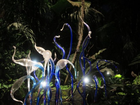 NYBG Palms of the World Gallery, Chihuly’s Persian Pond and Fiori (2017), Jazz & chihuly, Songs of Protest & Reconciliation, New York Botanical Garden, summer concert series
