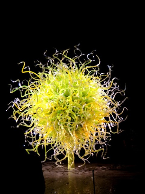 Sol del Citron, Jazz & Chihuly, Songs of Protest & Reconciliation, New York Botanical Garden summer series