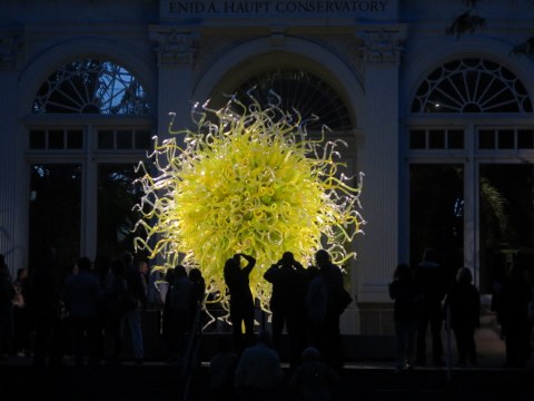 Chihuly Exhibit, 'Sol de Citron,' NYBG 2017, Dale Chihuly, Chihuly Nights (Carole Di Tosti)