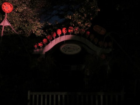 NYBG, Giant Pumpkin Weekend, Chihuly Exhibit, Dale Chihuly, Chihuly Nights