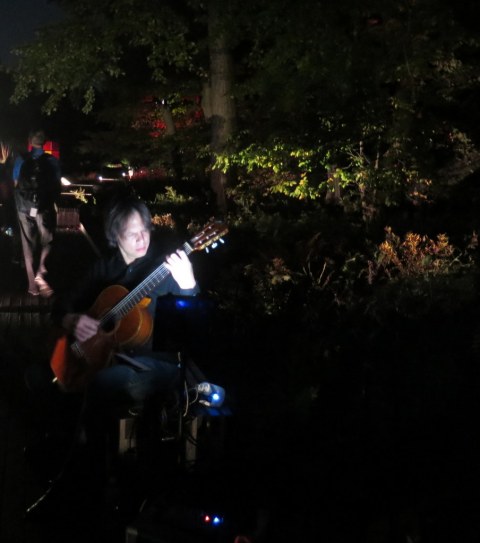 Chihuly Nights, Dale Chihuly, Native Plant Garden, NYBG