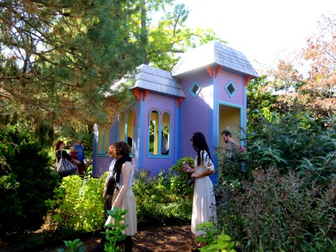 Everett Children's Adventure Garden, Giant Pumpkin Weekend