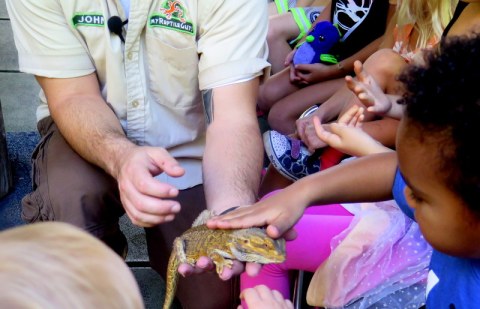Giant Pumpkin Weekend, NYBG