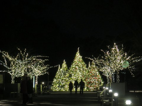 NYBG, Bar Car Nights, Holiday Train Show