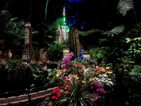 Bar Car Nights, Palms of the World Gallery, NYBG Holiday Train Show, Applied Imagination