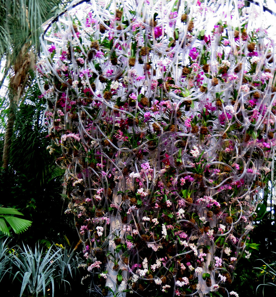Belgian floral artist, Daniël Ost, 2018 NYBG Orchid Show