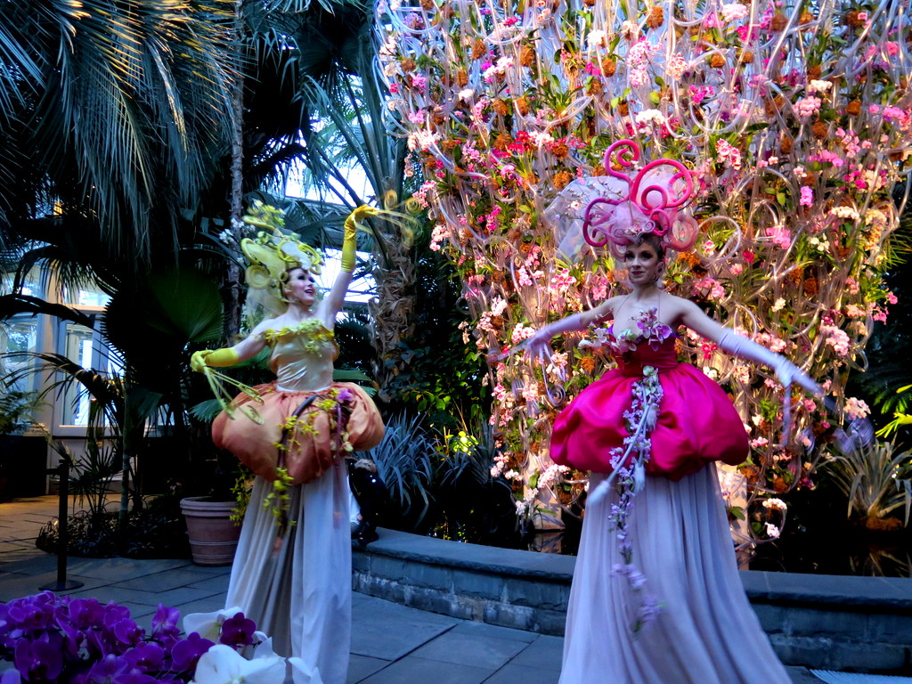 Orchid Dancers, Orchid Evenings, 2018 NYBG Orchid Show, Daniël Ost,