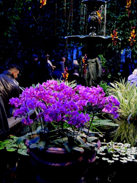 2018 NYBG Orchid Show, orchid evenings, Belgian floral artist, Daniël Ost,