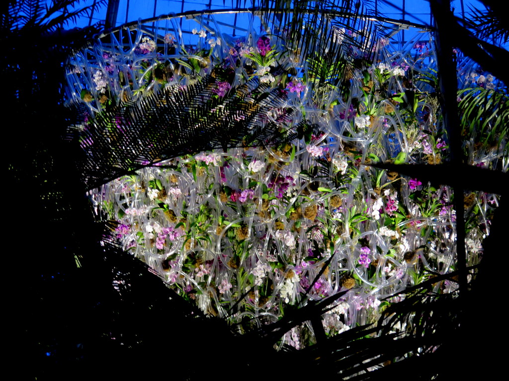 Daniël Ost, Palms of the World Gallery, 2018 Orchid Show, Orchid Evenings, Belgian floral artist