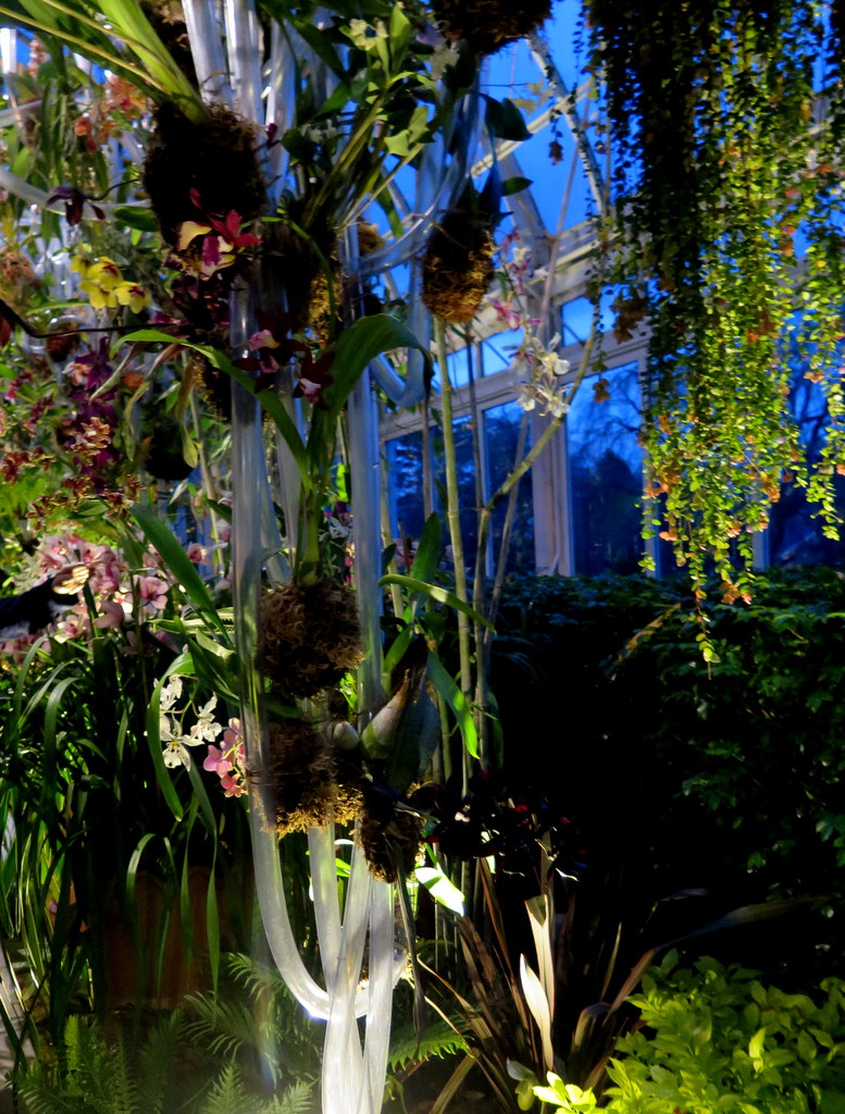 2018 Orchid Show, orchid evenings, Belgian floral artist,