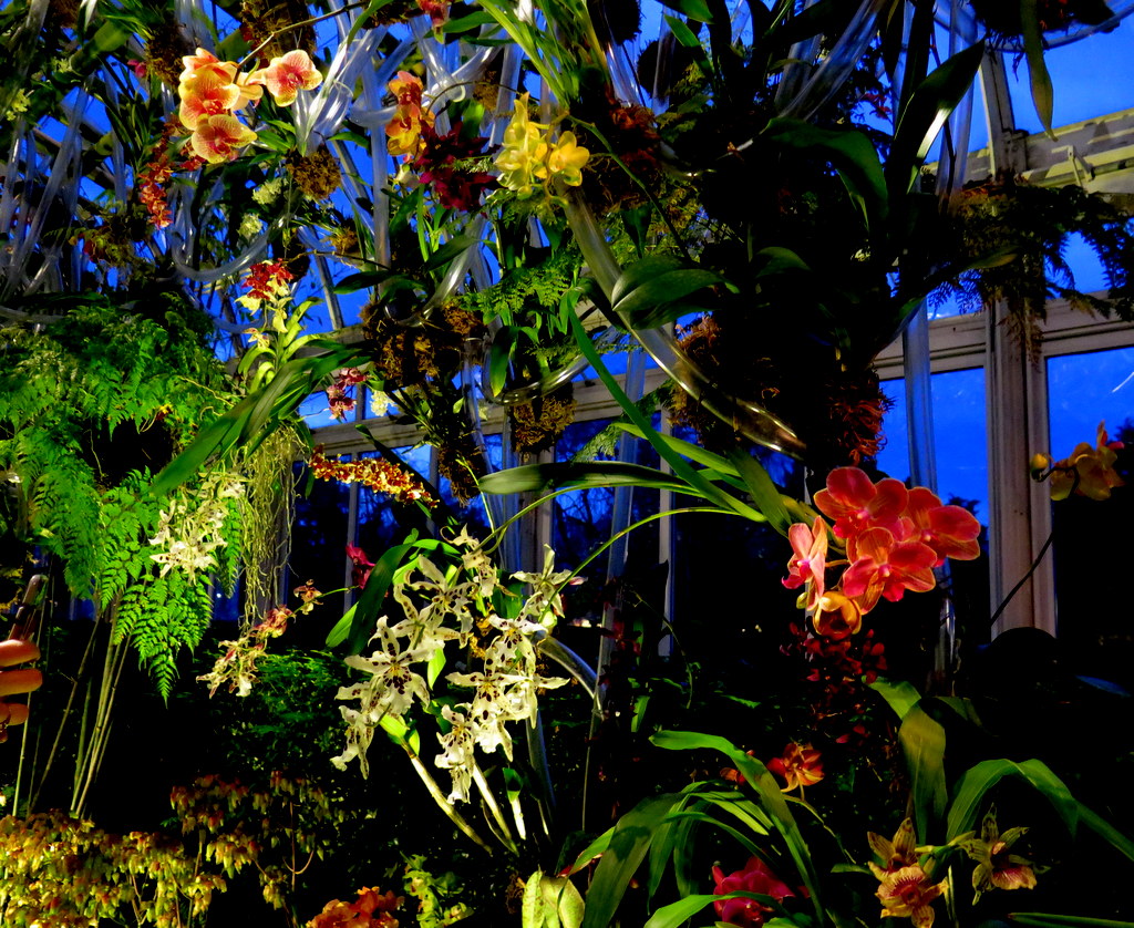 2018 NYBG Orchid Show, orchid evenings, Daniël Ost, Belgian floral artist