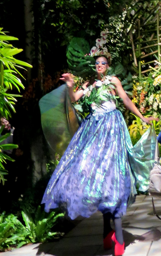 orchid dancer, 2018 nYBG Orchid Show, orchid evenings, Daniël Ost