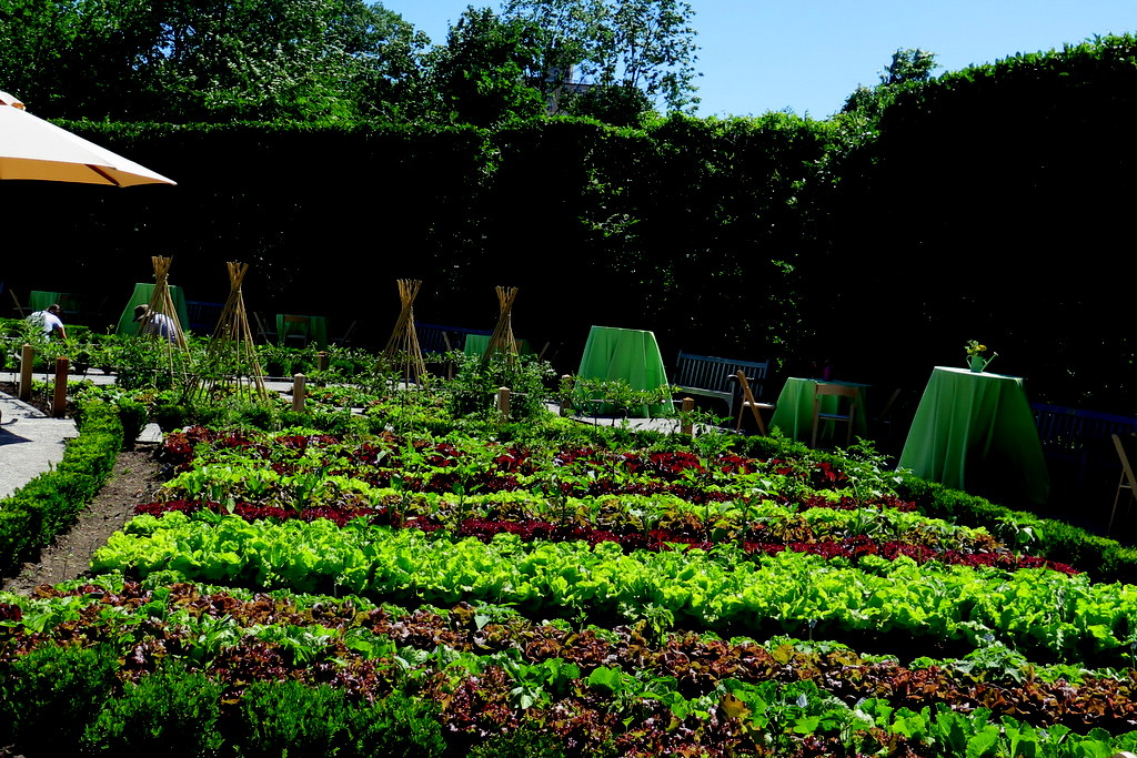 Edible Academy, NYBG, Opening Day Ceremony June 14