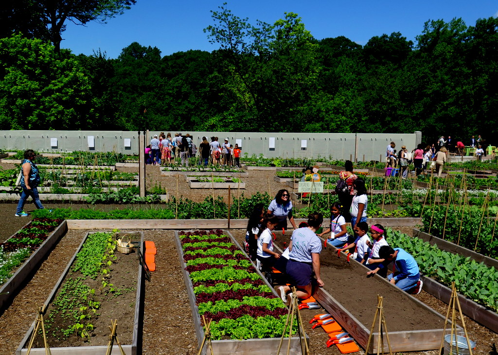 NYBG, Edible Academy, Opening Day Ceremonies June 14