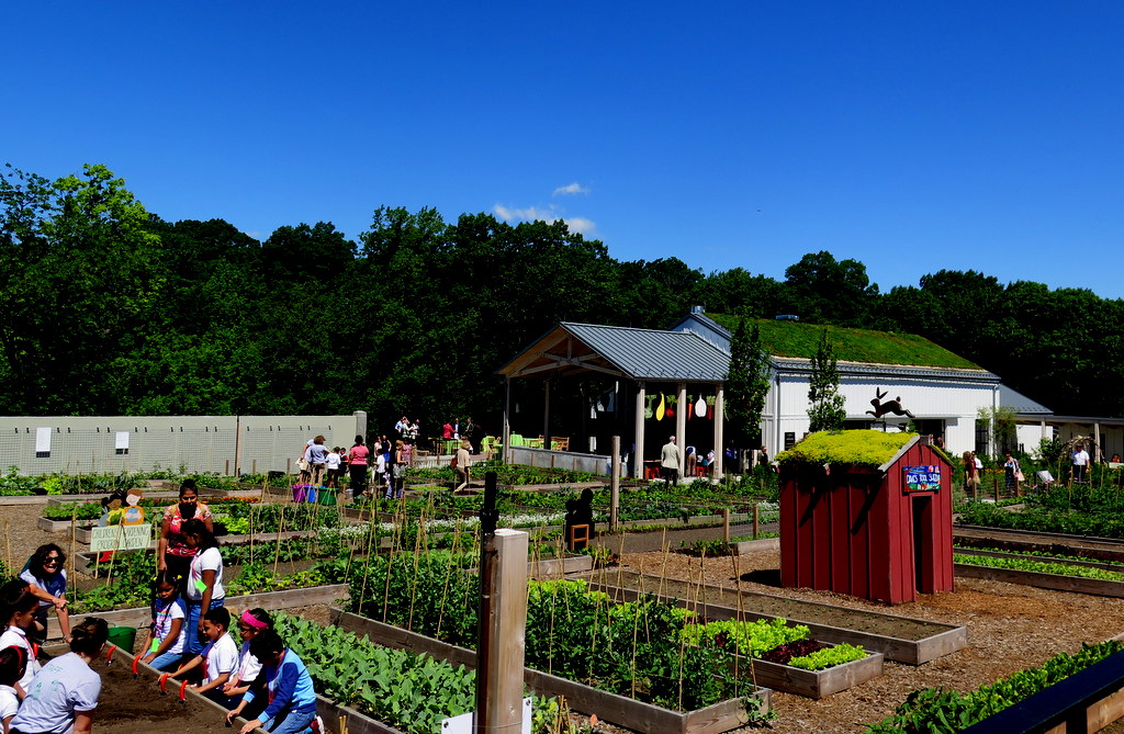 Rappaport Family Toolshed, Edible Academy, NYBG, Opening Day Ceremonies June 14