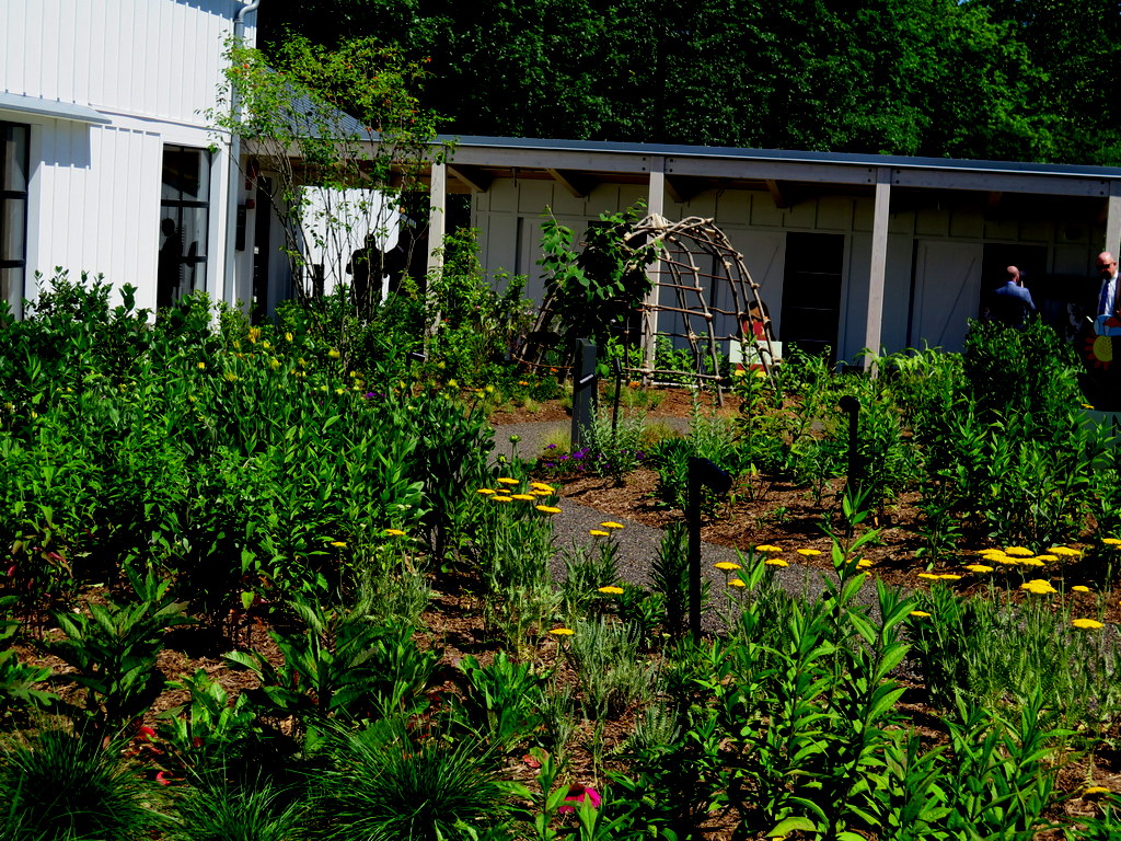 Meadow Garden, Edible Academy, NYBG, Opening Day Ceremonies June 14