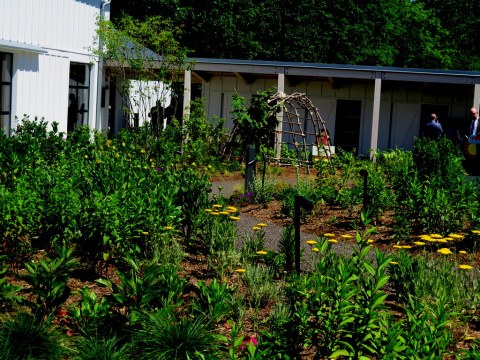 Meadow Garden, Edible Academy, NYBG, Opening Day Ceremonies June 14
