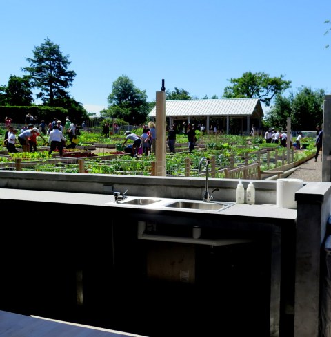 NYBG, Edible Academy, Opening Day Ceremonies June 14