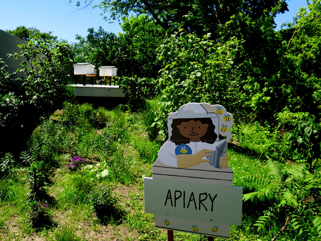 Apiary, Edible Academy, NYBG