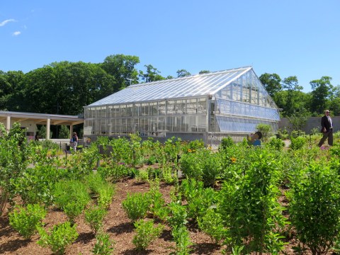 Edible Academy, NYBG, Susan P. and Coley Burke Amphitheater