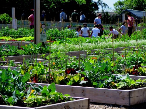 New York Botanical Garden, Edible Academy, Opening Day Ceremony
