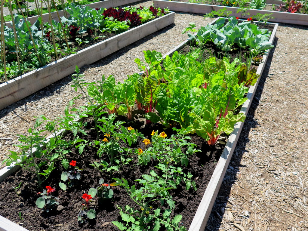 Edible Academy, NYBG, Opening Day Ceremonies June 14