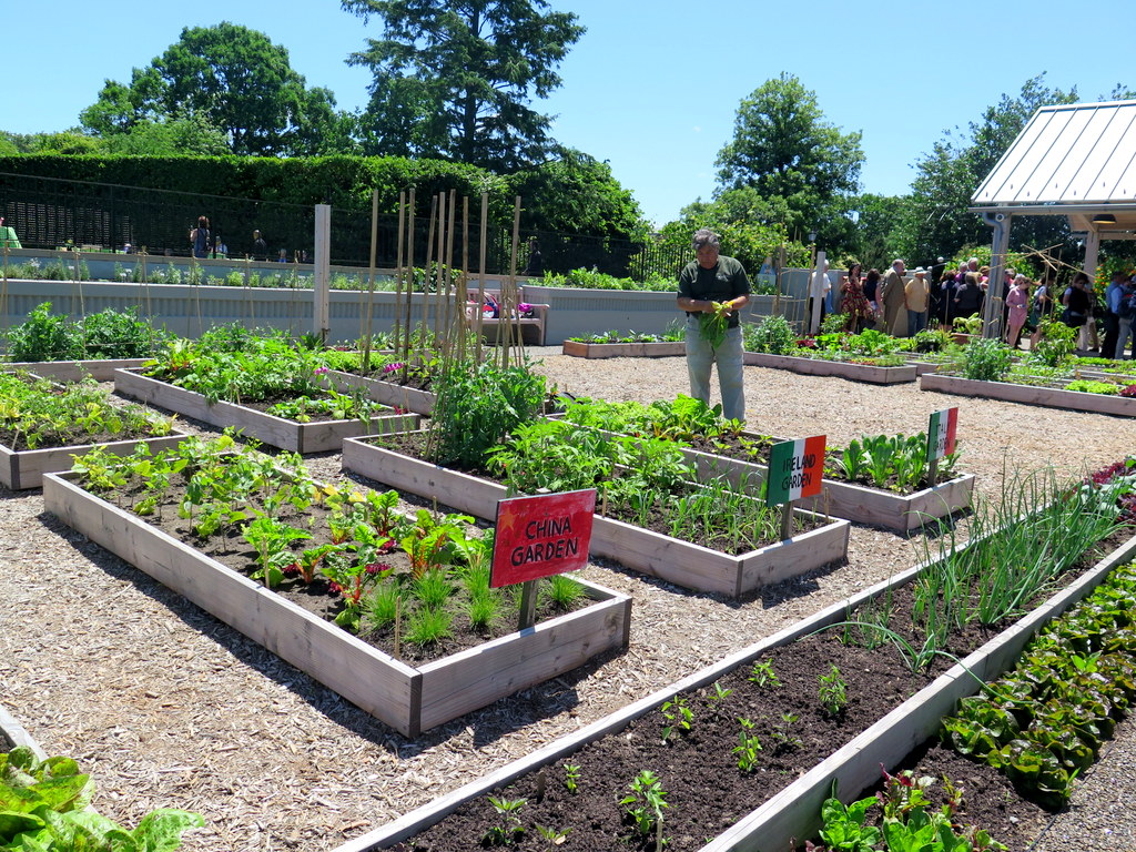 Global Garden, Edible Academy, NYBG,