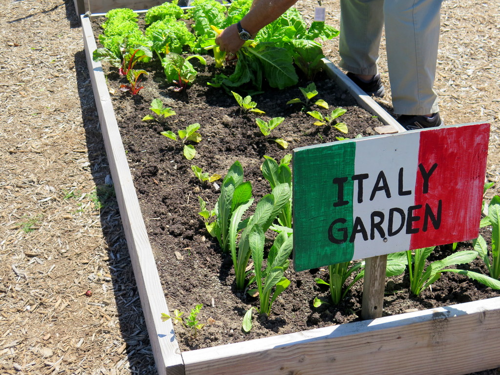 Edible Academy, NYBG
