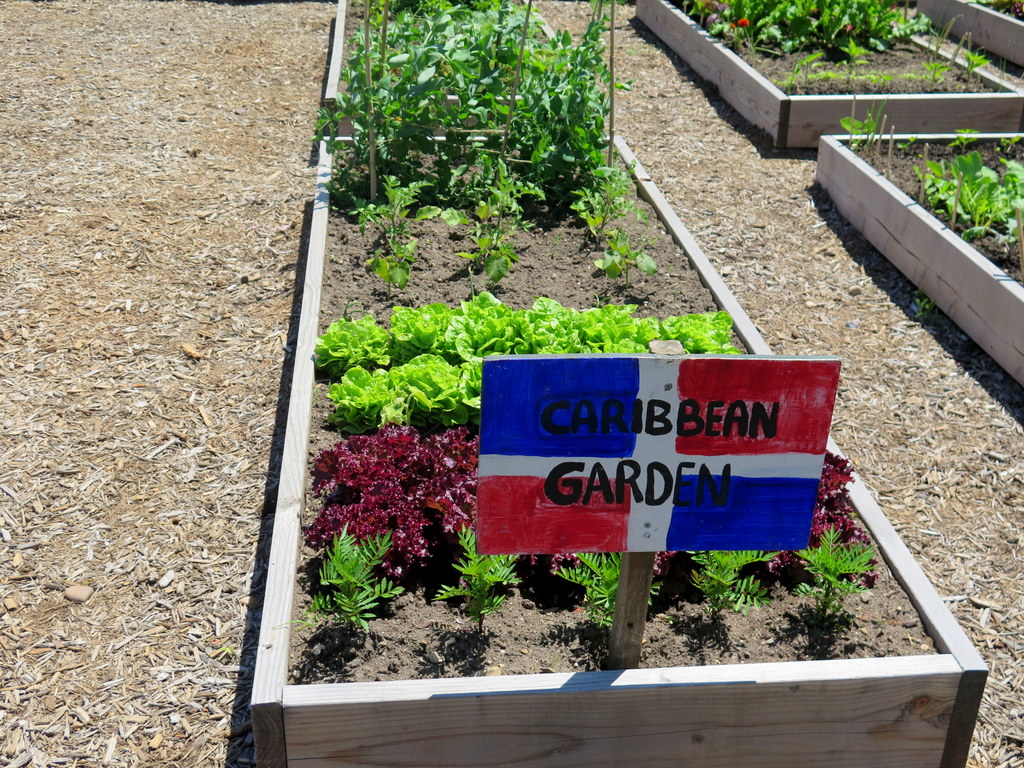 Edible Academy, NYBG