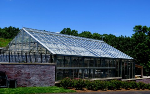 NYBG, Edible Academy, Opening Day Ceremony