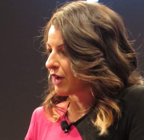 Anita Sarkeesian, Netizens, Tribeca FF and Q & A