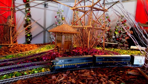 NYBG, Applied Imagination, 27th Holiday Train Show, NYBG