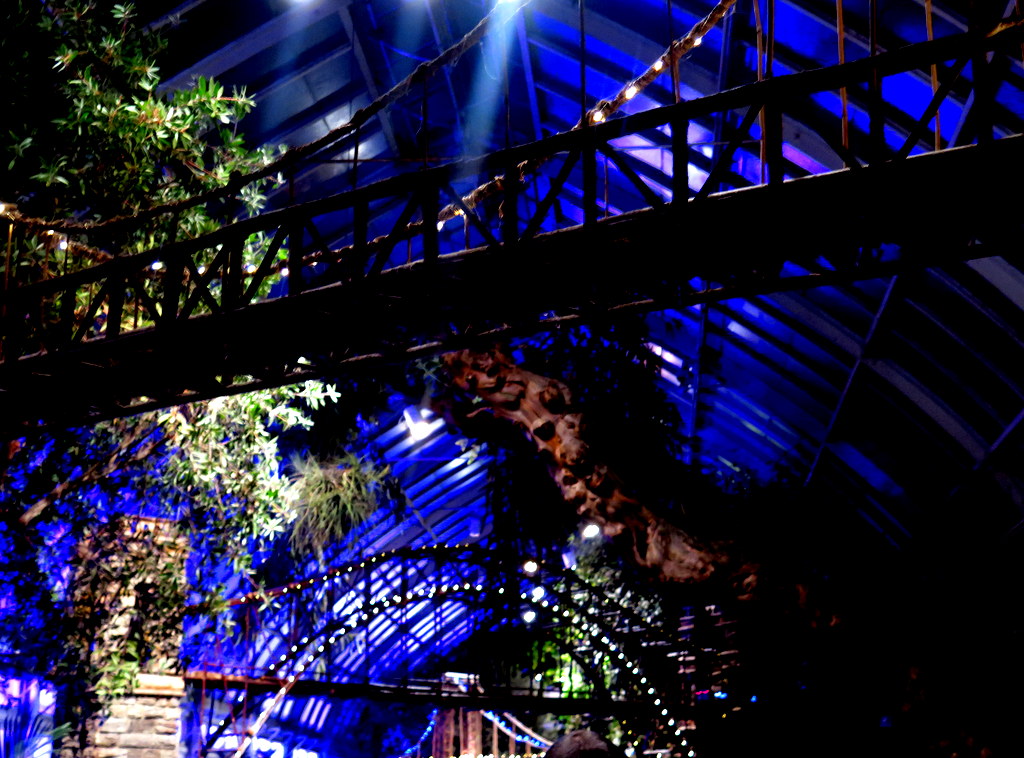 Bar Car Nights, 27th NYBG Holiday Train Show