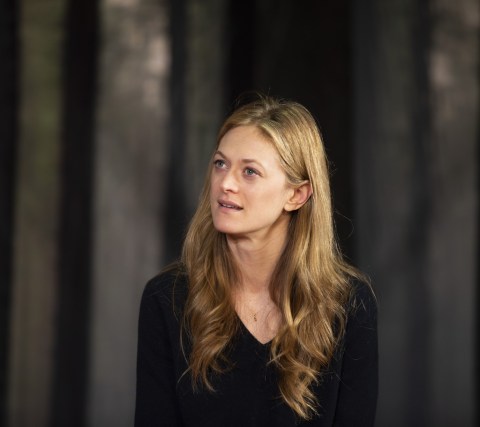 Marin Ireland, Blue Ridge, Atlantic Theater Company World Premiere, Linda Gross Theater, Taibi Magar
