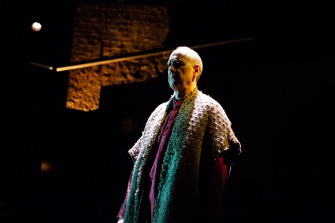 Michael Countryman, Fellowship for Performing Arts, A Man for All Seasons, Acorn Theatre