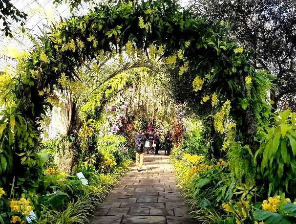 The Orchid Show: Singapore, 17th Annual Orchid Show, NYBG, Enid A. Haupt Conservatory, Singapore