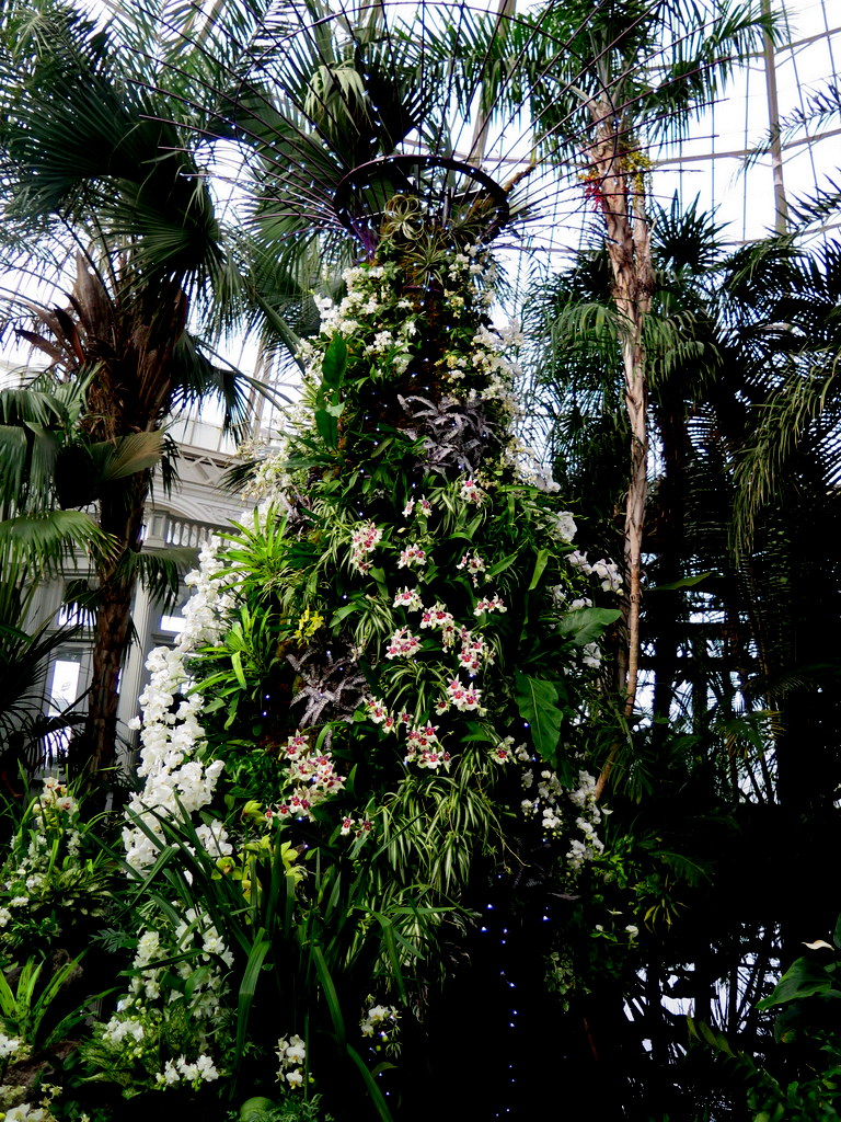The Orchid Show: Singapore, 17th Annual Orchid Show, NYBG, Enid A. Haupt Conservatory, Singapore