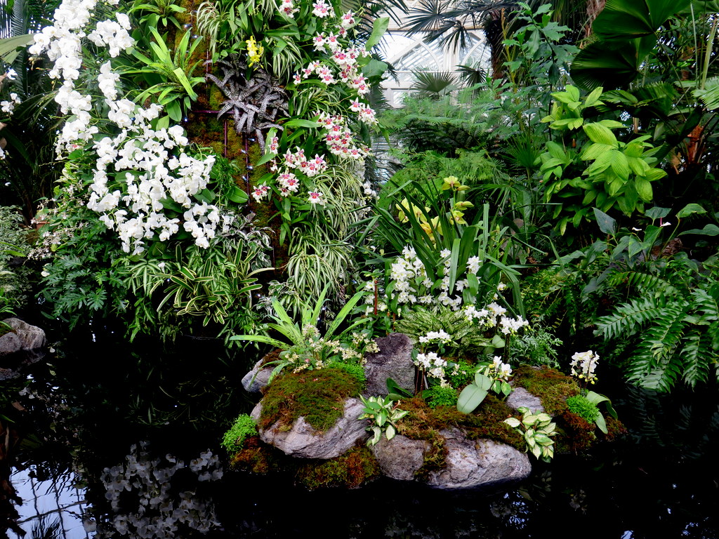 The Orchid Show: Singapore, 17th Annual Orchid Show, NYBG, Enid A. Haupt Conservatory, Singapore